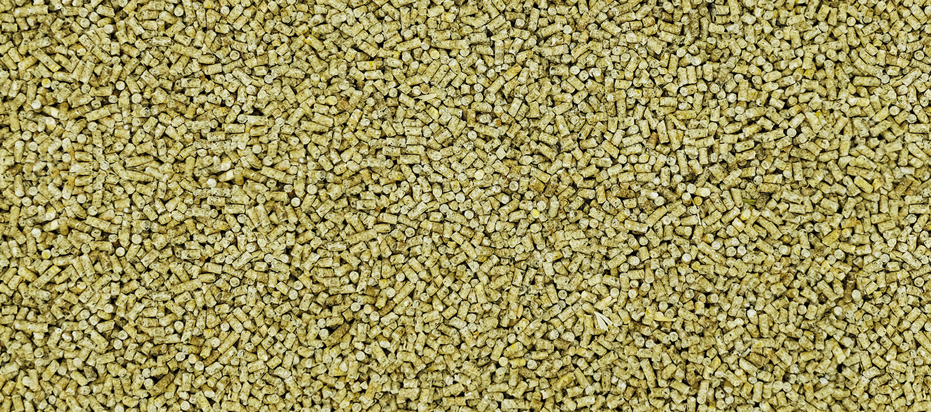 Futter - Kükenstarter